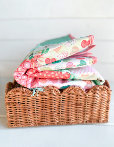 Sweetasaurus Snuggles Dinosaur Fabric Collection Sincerely Yours Kimberly